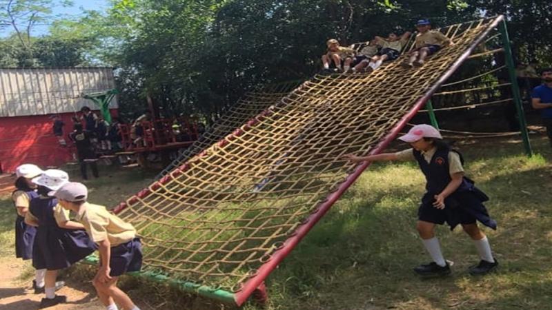 Picnic (2025-26) Picnic (2025-26)