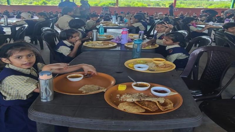 Picnic (2025-26) Picnic (2025-26)