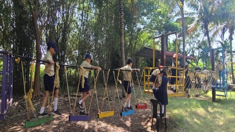 Picnic (2025-26) Picnic (2025-26)