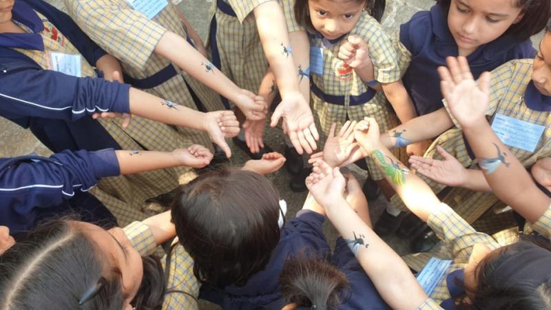 Picnic (2025-26) Picnic (2025-26)