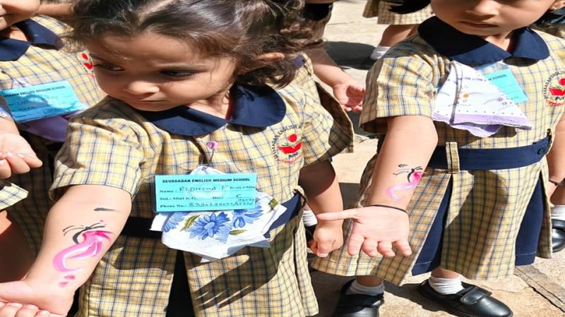 Picnic (2025-26) Picnic (2025-26)