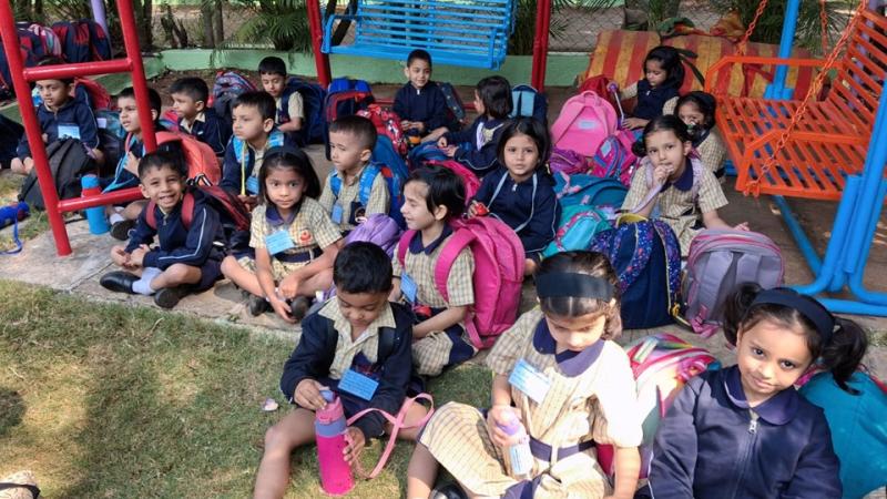 Picnic (2025-26) Picnic (2025-26)